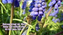 März -Gedicht.jpg