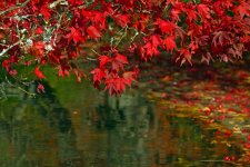 herbstbunt.jpg