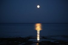 full-moon-3700381_1280.jpg