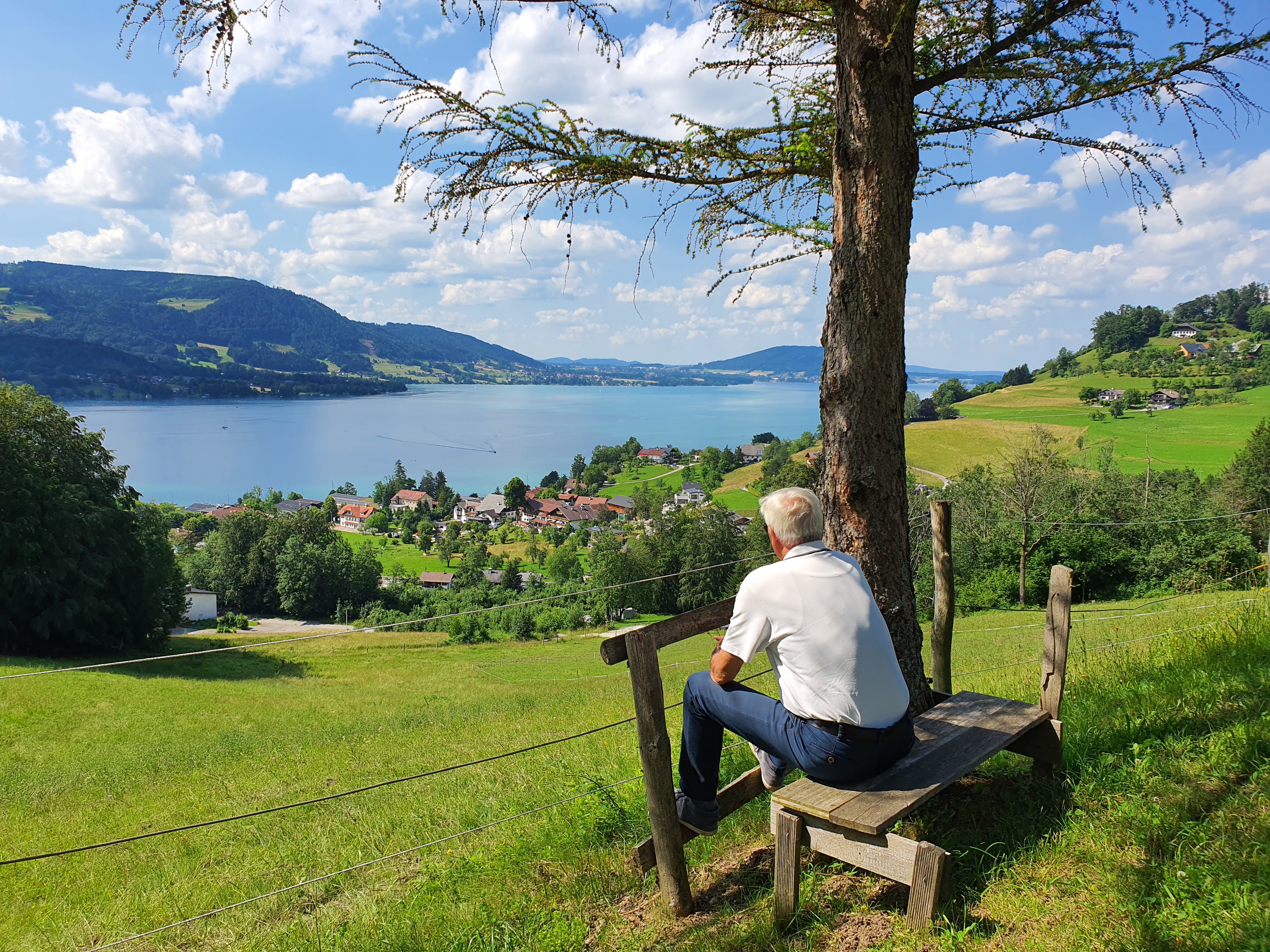 In Liebe